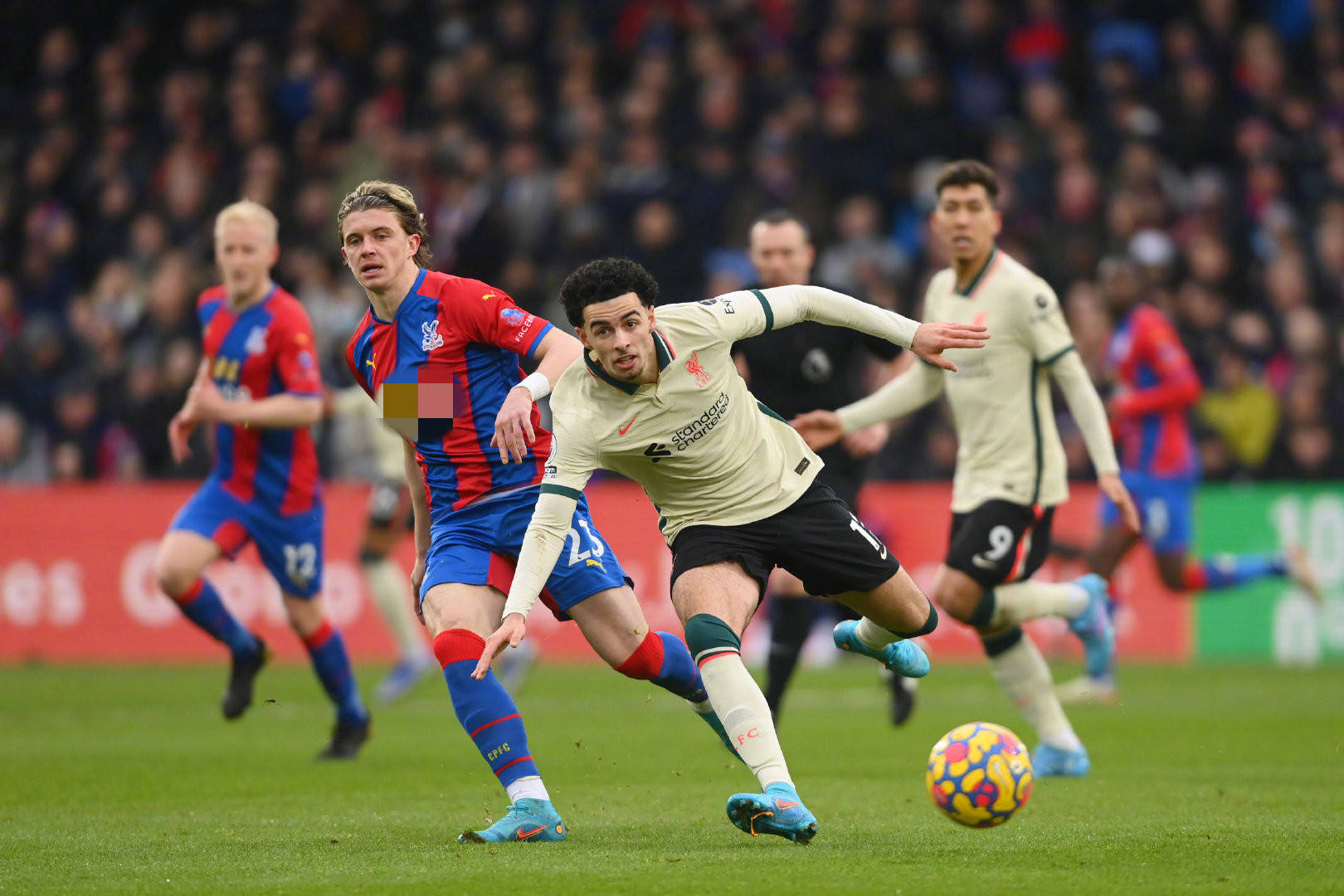 来发展潜力 来发展潜力